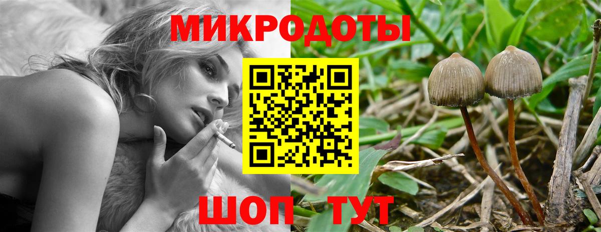Псилоцибиновые грибы Psilocybe  Вход с VPN  Грязи 