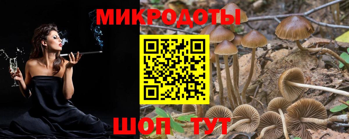 Галлюциногенные грибы ЛСД Грязи
